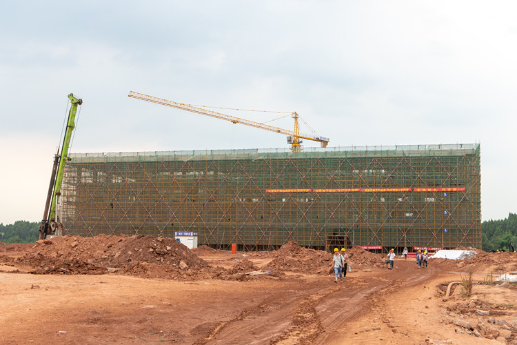 1689585989274258.jpg W020230717611595003258.jpg