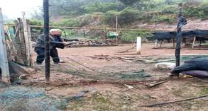 说明: 拱市联村两线人居环境整治