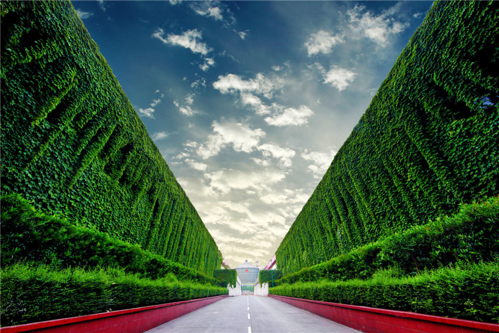 绿瀑长廊——沱牌舍得绿色标准化厂房 刘昌松 摄影.jpg