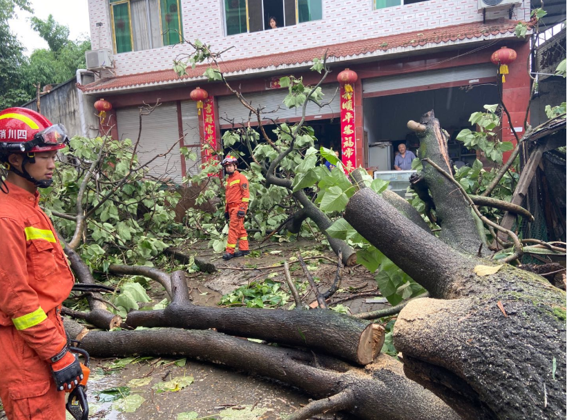 W020200702758815000665.png W020200702758815000665.png