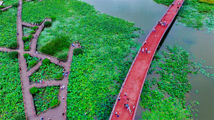 1684316418665199.jpg 37.jpg