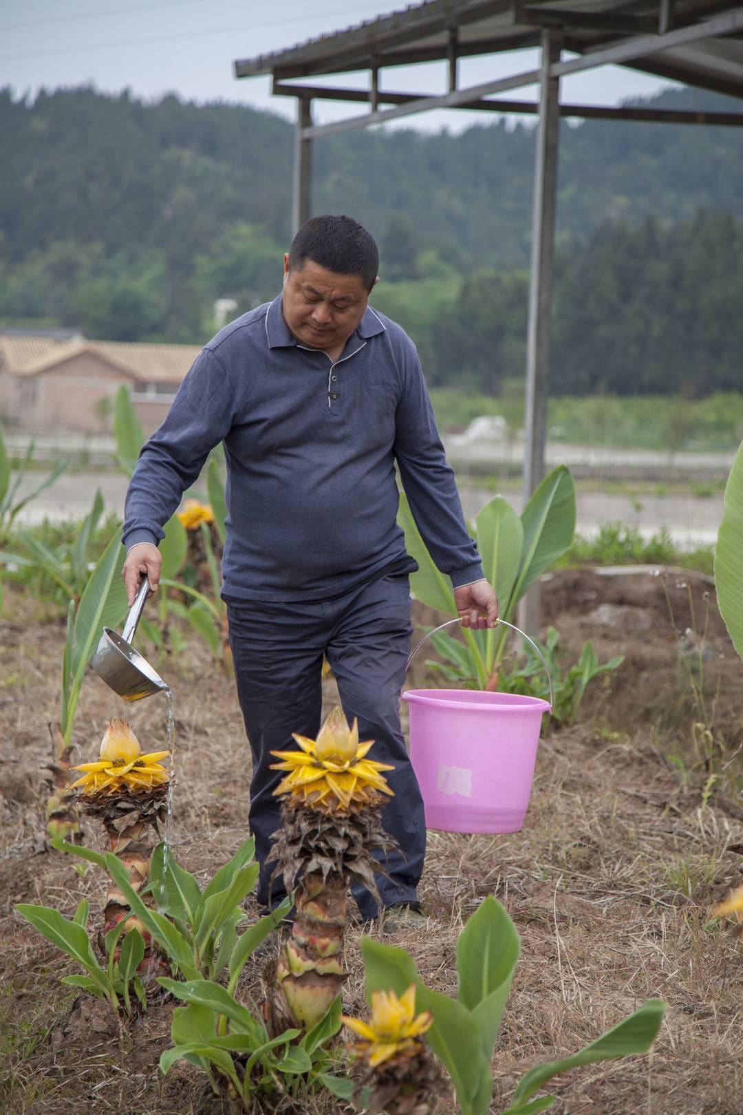 1630019392675670.jpeg 39.jpeg