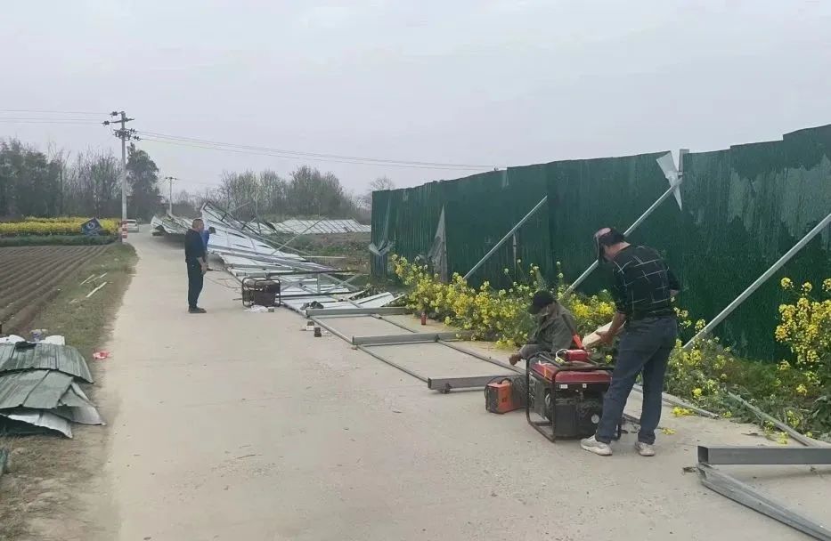 1678632923941466.jpg 4.jpg