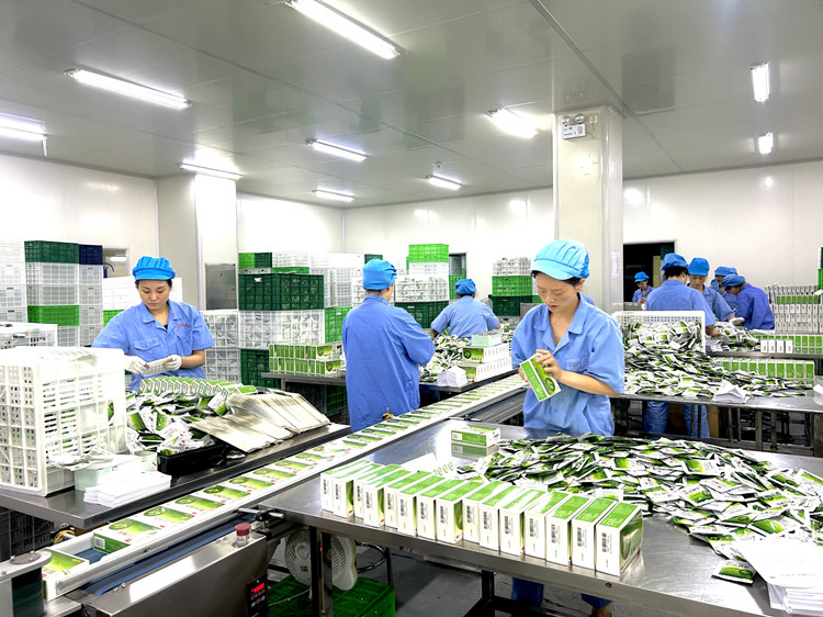 1691494651930105.jpg W020230808549286568104.jpg